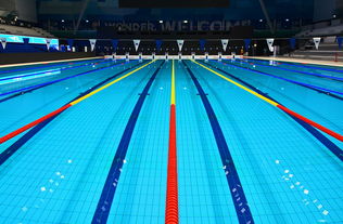 九游娱乐app-体坛记忆｜福冈世锦赛蝶泳决赛，张雨霏最后5米不换气狂冲，逆袭夺金